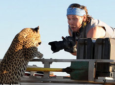 Leopard fotoqrafı yaman qorxutdu - FOTO