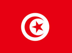 Müxtəlif vaxtlarda öldürülmüş Tunis müxalifətinin liderləri eyni silahla qətlə yetiriliblər