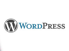 Wordpress güclənəcək