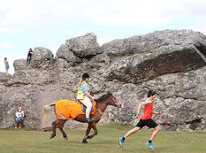 İnanılmaz rekord: çapan atı geridə qoydu - FOTO