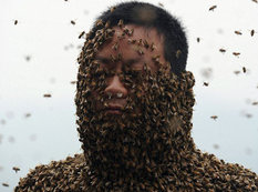 460 min arıya büründü - FOTO