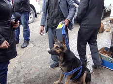 Bakıda satılanların hürdüyü yer - FOTO