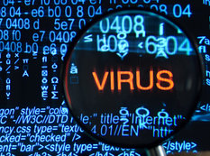 İnternetdə viruslara kimlər inanmır?