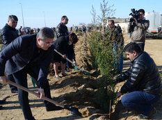 Heydər Əliyev Fondunun dəstəyi ilə Qaradağda iməcilik keçirildi - FOTO