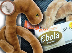 Eboladan qalmadı - cəmi 10 dollara!