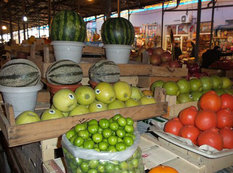 Bazarlara nübar meyvələr çıxıb: qiymətlər dağ başında - FOTO