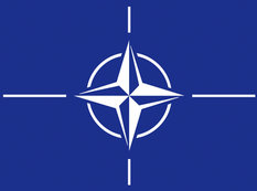 NATO Dağlıq Qarabağdakı insidentdən narahatdır
