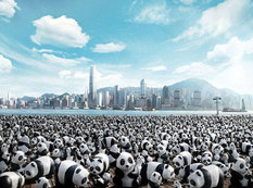 1600 panda bir arada - FOTOSESSİYA
