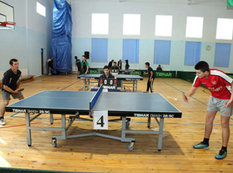 Stolüstü tennis üzrə Azərbaycan Kuboku yarışları başlanıb - FOTO