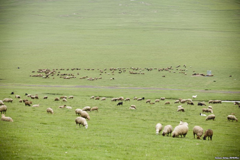 Almanlardan Azərbaycanda qalan qanlı yadigar - FOTO