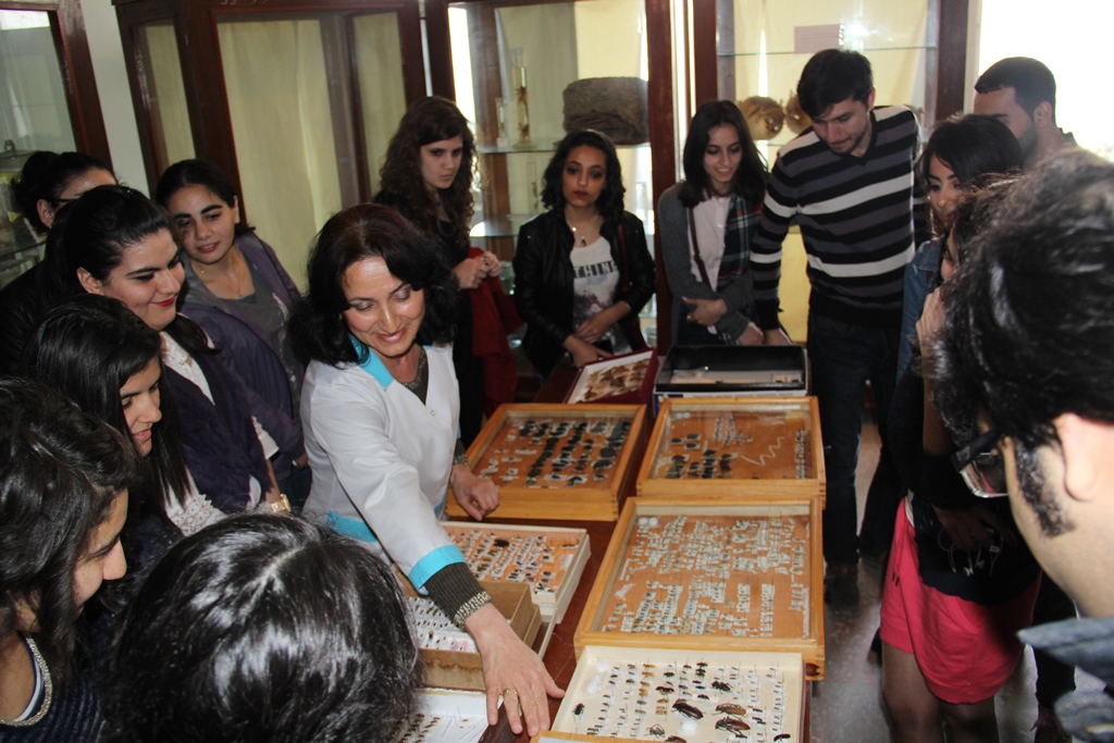 Azərbaycanda nəsli kəsilmək üzrə olan fauna növləri ilə bağlı seminar keçirilib - FOTO