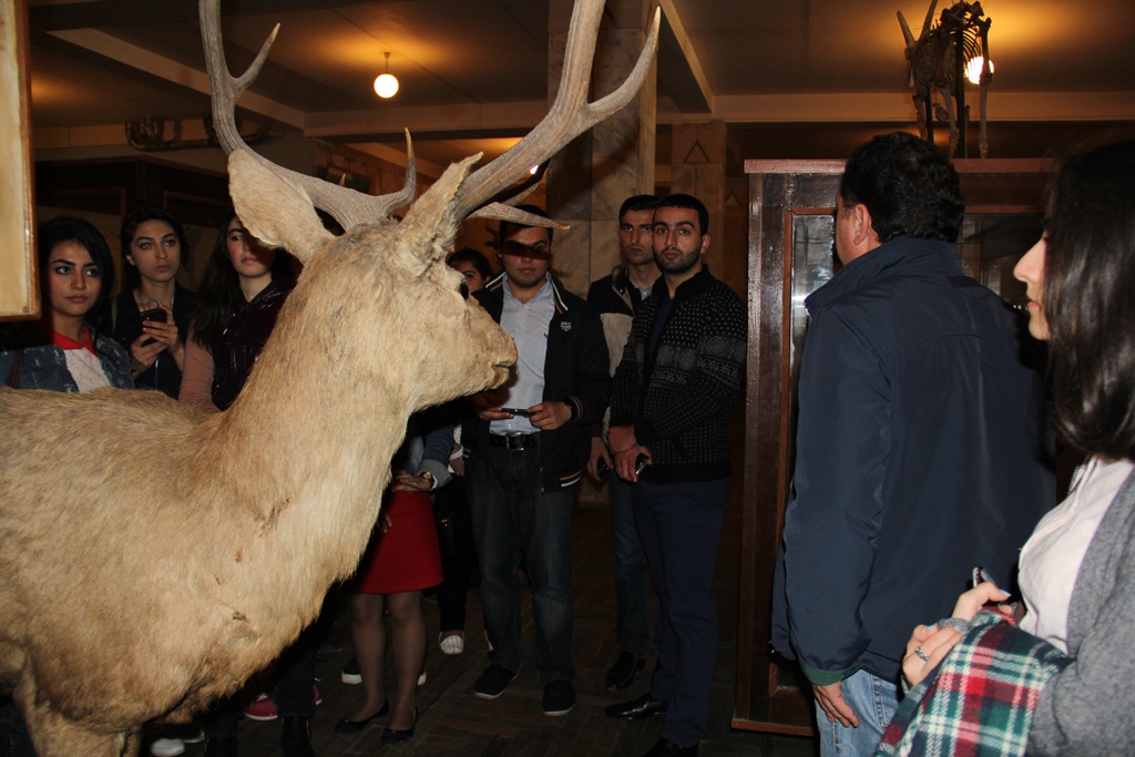 Azərbaycanda nəsli kəsilmək üzrə olan fauna növləri ilə bağlı seminar keçirilib - FOTO