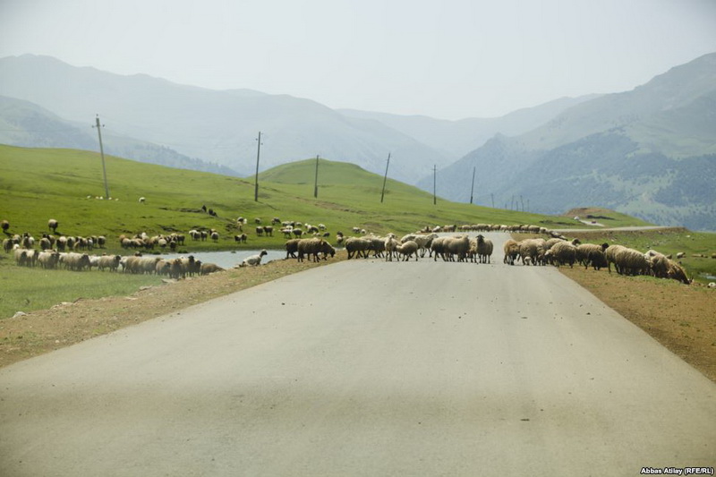 Almanlardan Azərbaycanda qalan qanlı yadigar - FOTO