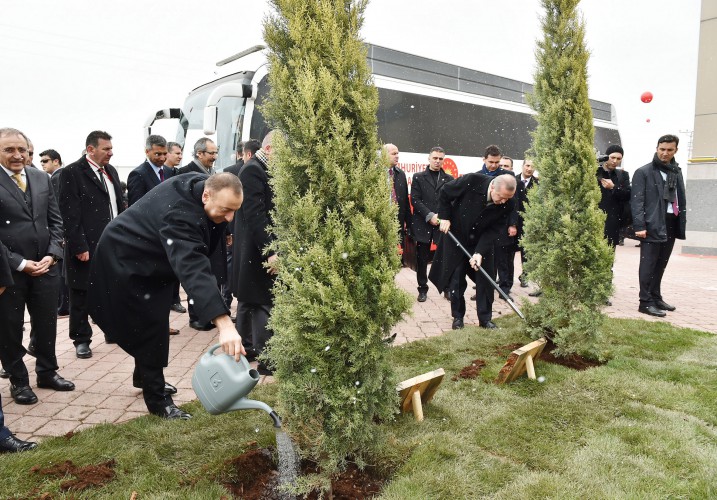 Prezident İlham Əliyev: "TANAP layihəsi ilk növbədə Türkiyə-Azərbaycan birliyinin layihəsidir" - YENİLƏNİB - FOTO