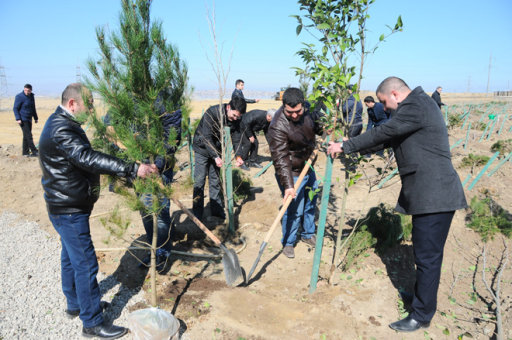 "Hər kağızı bir yarpağa dəyişək" layihəsi başa çatıb - FOTO