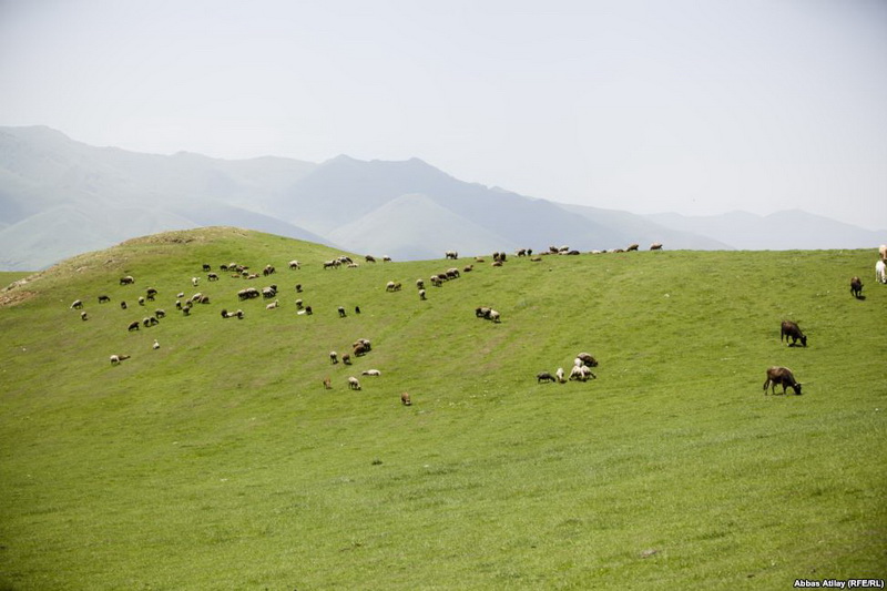 Almanlardan Azərbaycanda qalan qanlı yadigar - FOTO