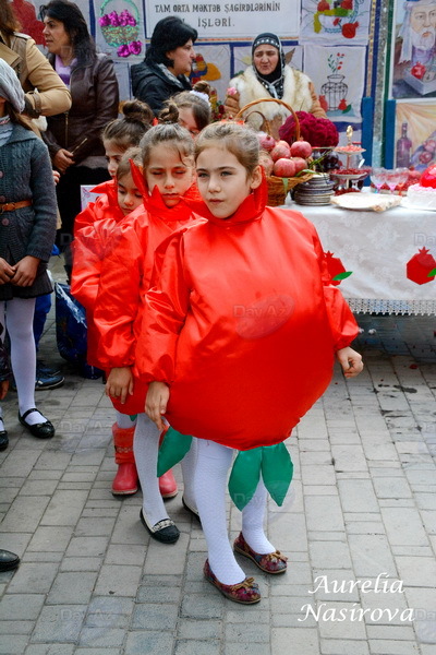 Nar bayramının ən maraqlı anları - FOTO - REPORTAJ