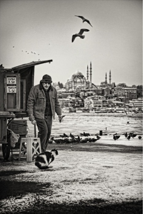 İstanbul həyatı iPhone-da - FOTO