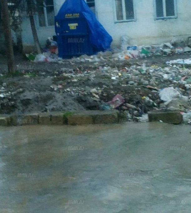 "Zibili presləyib Bakıya satırıq" - FOTO