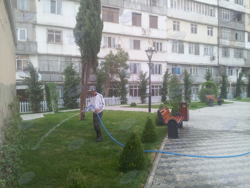 Bakıda yeni park salındı - FOTOSESSİYA