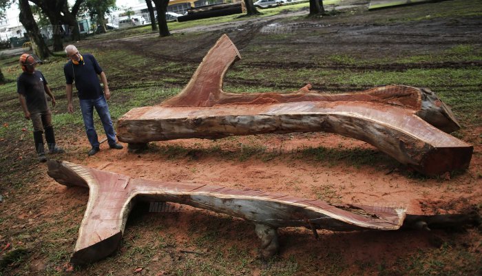 Park üçün ağacdan mebel - FOTO