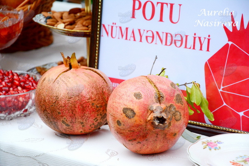 Nar bayramının ən maraqlı anları - FOTO - REPORTAJ