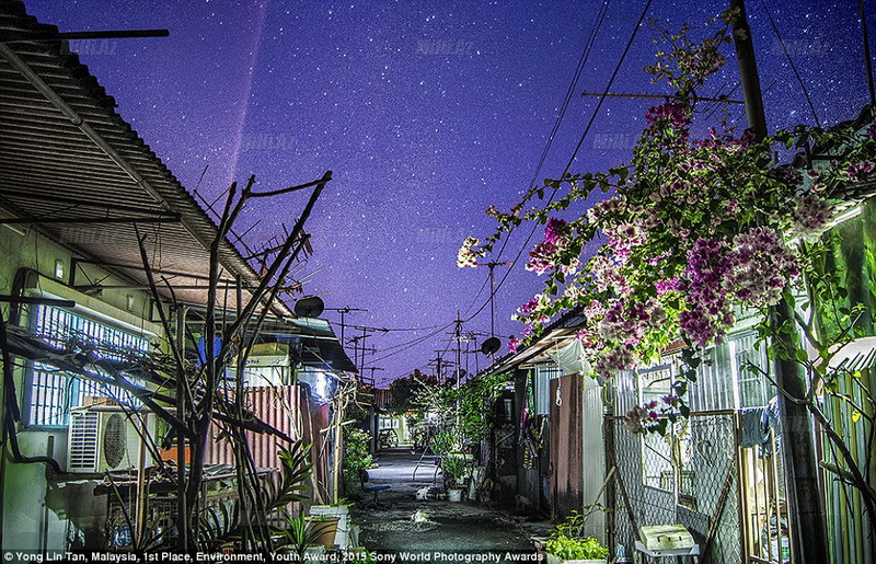 Qəm, bəla, kədər ilin ən yaxşısı oldu - FOTO