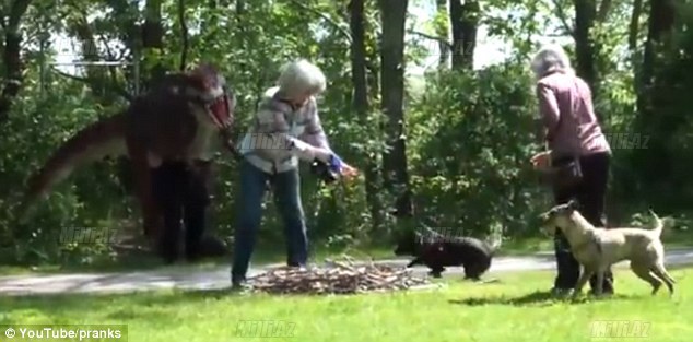 "Qaçın! Kolluqdan dinozavr çıxdı!" - VİDEO - FOTO