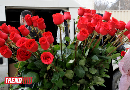 Azərbaycanda 8 Mart - Beynəlxalq Qadınlar Günü qeyd olunur - FOTOSESSİYA