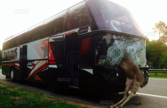 Avtobusda İblis rəqəmi yazıldı - FOTO