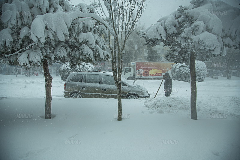 Gənclər şəhəri ağ libas geyindi - FOTOSESSİYA