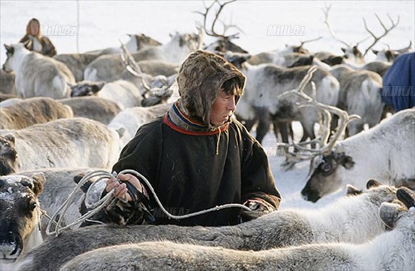 Yeganə məqsədləri yaşamaqdır - FOTOSESSİYA