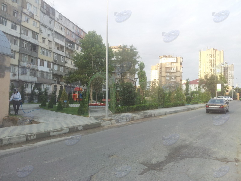 Bakıda yeni park salındı - FOTOSESSİYA