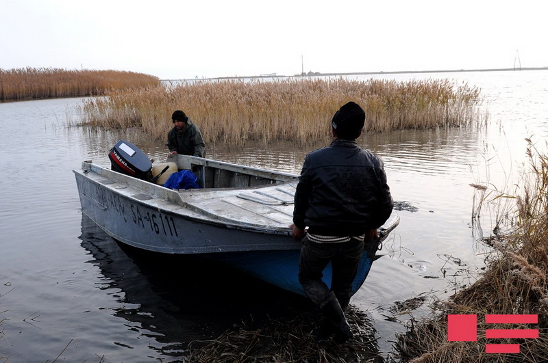 Xəzər balıqçılarının bir günü REPORTAJ - FOTO