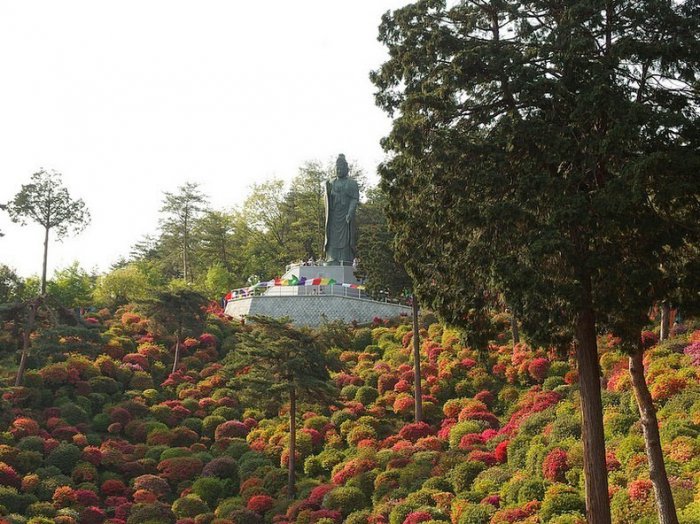 Buddist məbədli azaliyalar vadisi - FOTO