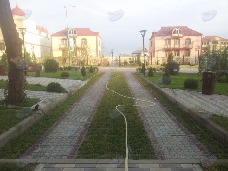 Bakıda yeni park salındı - FOTOSESSİYA