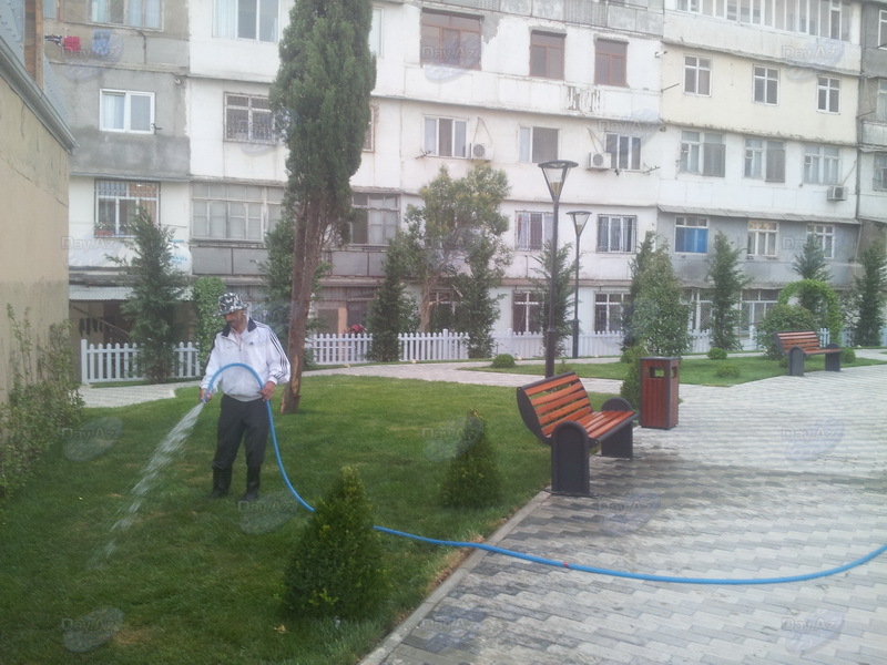 Bakıda yeni park salındı - FOTOSESSİYA