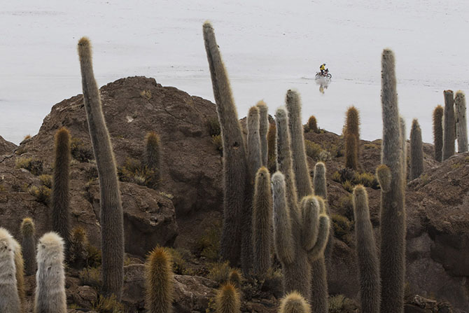 Dakar rallisi: səhrada yarış - FOTOSESSİYA