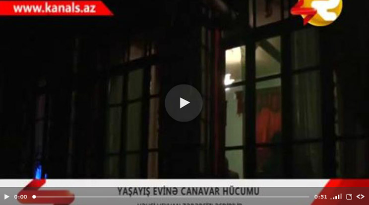 Azərbaycanda canavar evə hücum edib - YENİLƏNİB - VİDEO - FOTO