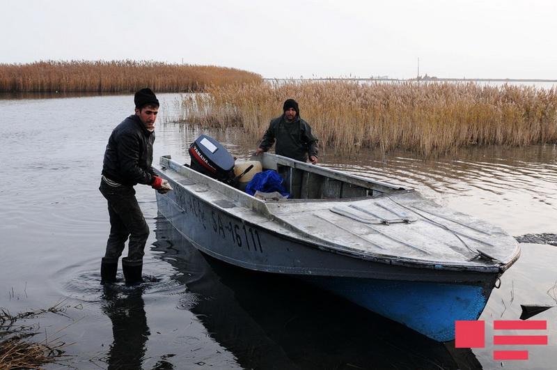 Xəzər balıqçılarının bir günü REPORTAJ - FOTO