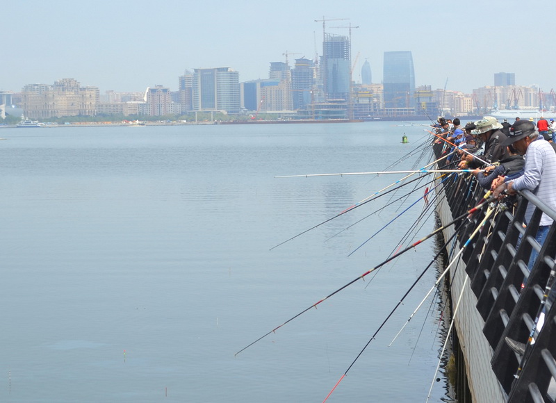 İstanbul misalı Bakı: əyləncə, hüzur - FOTO