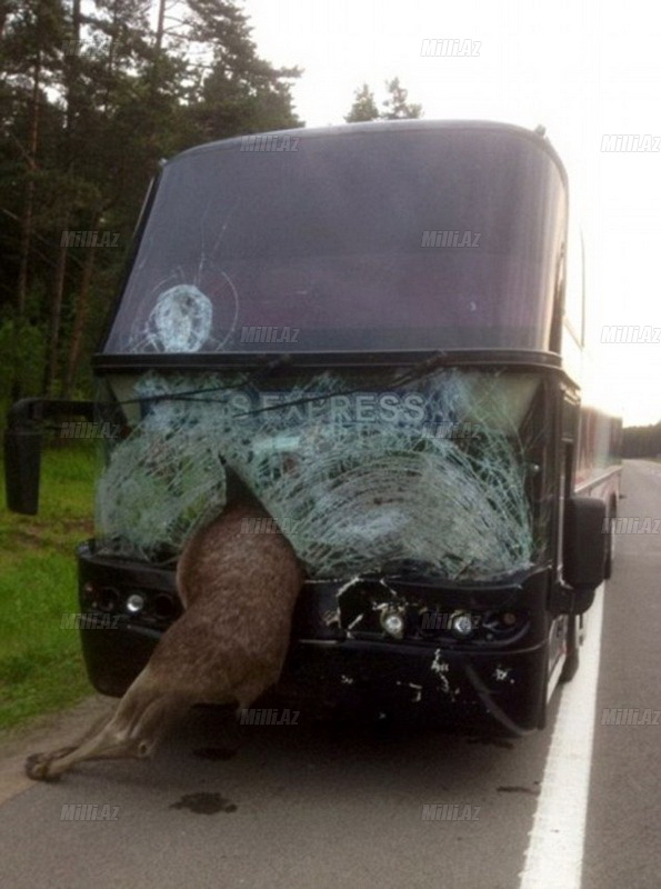 Avtobusda İblis rəqəmi yazıldı - FOTO