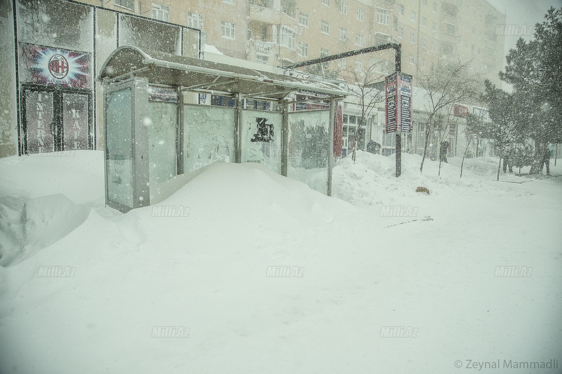 Gənclər şəhəri ağ libas geyindi - FOTOSESSİYA