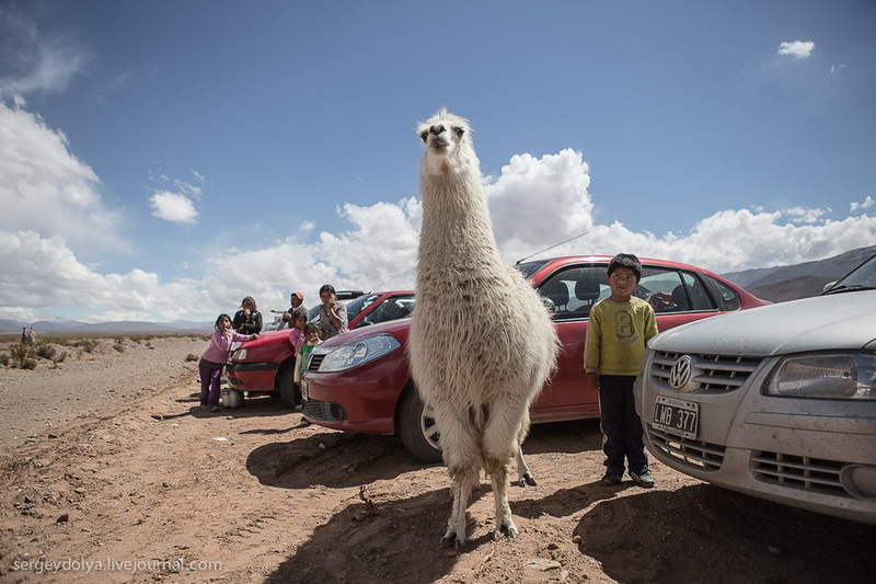 Dakar rallisi: Argentinada son gün - FOTOSESSİYA