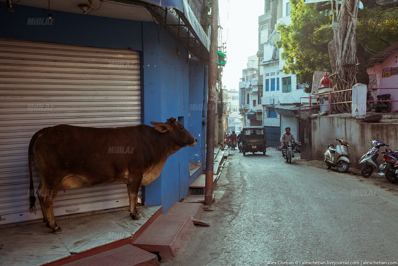 Hind məktəbinə baş çəkək? - FOTO