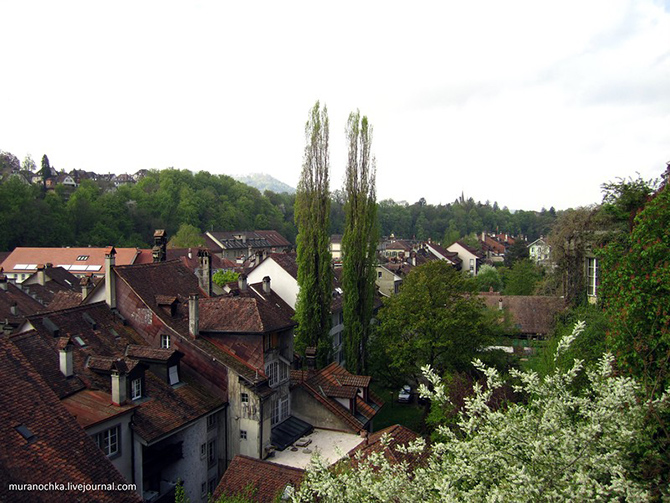 Bern şəhərində gəzinti - FOTOSESSİYA