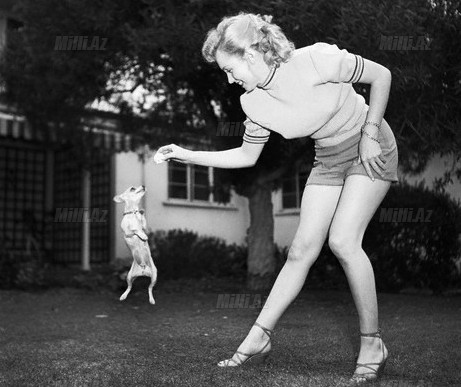 Marilyn Monroe Playing with Chihuahua