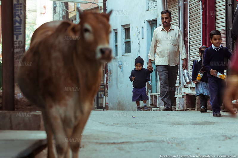 Hind məktəbinə baş çəkək? - FOTO