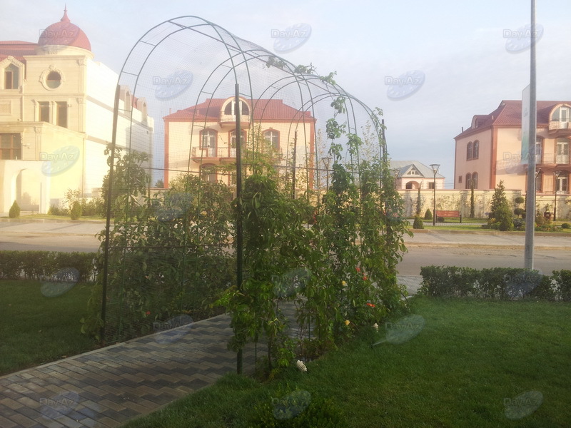 Bakıda yeni park salındı - FOTOSESSİYA